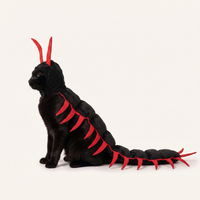 Centipede