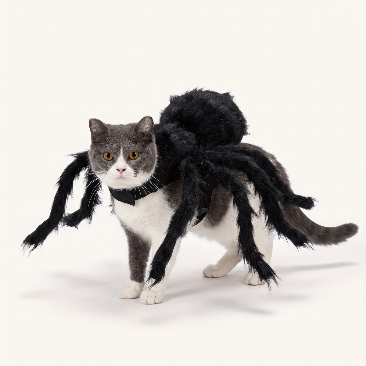 CrawlKitty™ - Cat Costume